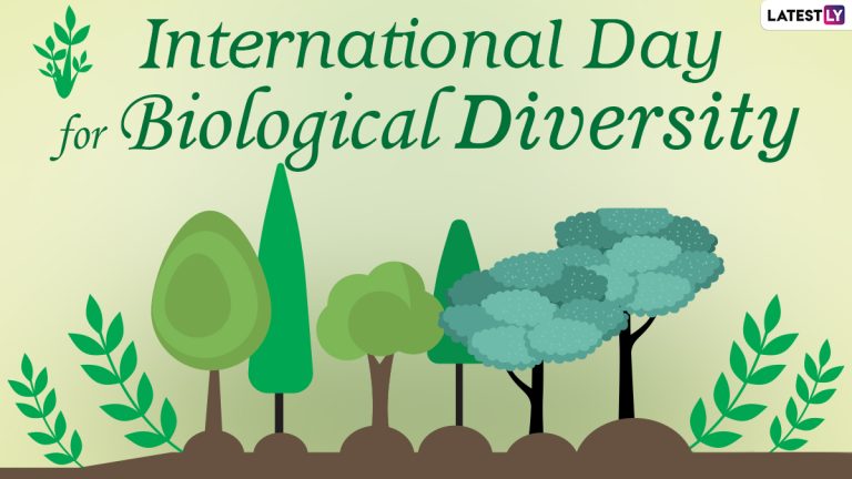 IDB